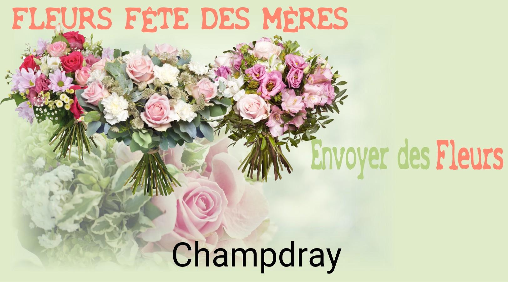 Bouquet de Fête des Mères livré à Champdray